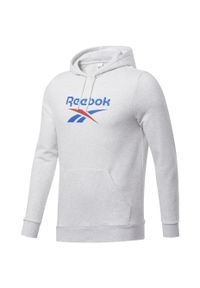 Bluza sportowa męska Reebok Classic Vector Hoodie. Kolor: biały