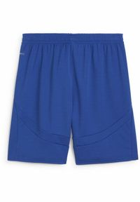Puma - Męskie szorty PSV Eindhoven PUMA Cobalt Glaze White Blue. Kolor: biały, wielokolorowy, niebieski