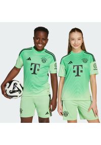 Adidas - Koszulka FC Bayern 25/26 Goalkeeper Kids. Kolor: zielony