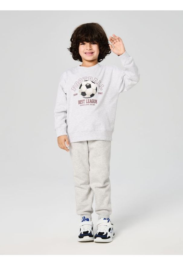 Sinsay - Ocieplane spodnie jogger - szary. Kolor: szary