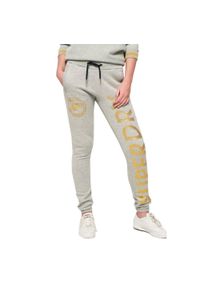 Spodnie turystyczne damskie Superdry Ace Sport. Kolor: szary. Materiał: bawełna, poliester