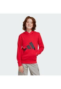 Bluza Adidas Sport J Bl Ft Hd 280 Dzieci. Kolor: czerwony, wielokolorowy, czarny. Sport: joga i pilates
