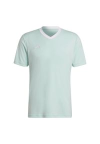 Adidas - Koszulka piłkarska męska adidas Entrada 22 Jersey. Kolor: turkusowy, zielony, niebieski, wielokolorowy. Materiał: jersey. Sport: piłka nożna