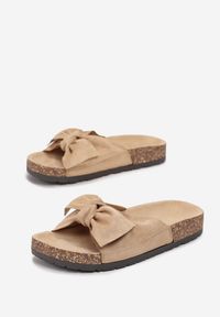 Renee - Ciemnobeżowe Klapki Physaliphis. Okazja: na co dzień. Kolor: beżowy. Materiał: jeans. Wzór: aplikacja, gładki. Styl: casual #2