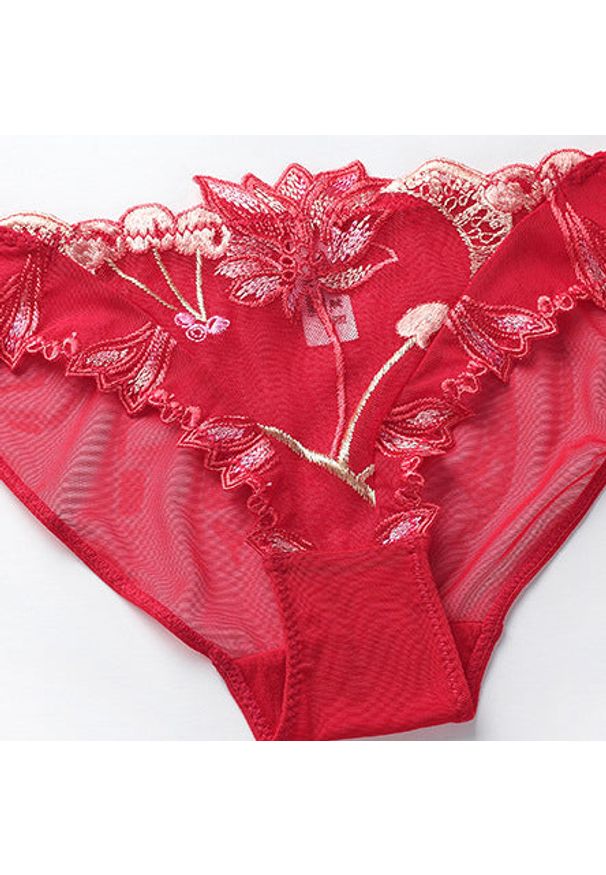 Intica - Komplet bielizny z koronką na specjalne okazje Mallaurie. Kolor: wielokolorowy. Materiał: koronka. Wzór: koronka