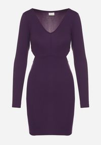 Born2be - Fioletowa Sukienka o Dopasowanym Kroju z Wycięciami w Talii Halassia. Okazja: na co dzień, na randkę. Typ kołnierza: dekolt w serek. Kolor: fioletowy. Długość rękawa: długi rękaw. Typ sukienki: dopasowane, proste. Styl: casual, elegancki #3