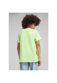 Puma - Młodzieżowa koszulka Graphics PUMA Spring Fern Green. Kolor: zielony. Materiał: guma. Wzór: nadruk