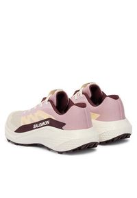salomon - Salomon Buty do biegania Alphaglide W L49092800 Écru. Kolor: kremowy. Materiał: materiał #2