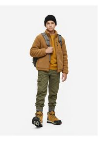 Beverly Hills Polo Club Trzewiki CEO-AVO-80857-006 Brązowy. Kolor: brązowy. Materiał: materiał #7