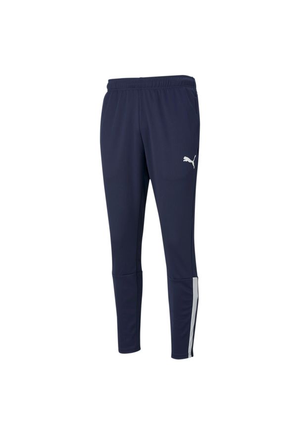 Spodnie Puma teamLiga Training Pants M 657242 06. Kolor: biały, wielokolorowy, niebieski. Materiał: materiał. Sport: piłka nożna