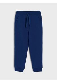 Sinsay - Ocieplane spodnie jogger - mid blue