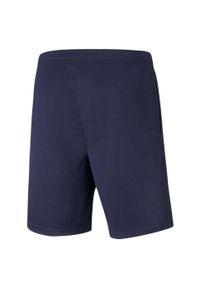 Puma - Męskie Spodenki TeamRISE. Kolor: niebieski