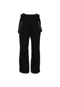 Spodnie narciarskie Whistler Gippslang 15000. Kolor: czarny, szary, wielokolorowy. Sezon: zima. Sport: narciarstwo #1