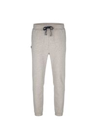 GLENMUIR - Spodnie dresowe Loap Edgar dla mężczyzn - Komfort i styl. Kolor: szary. Materiał: poliester, bawełna. Sezon: zima. Sport: bieganie #1