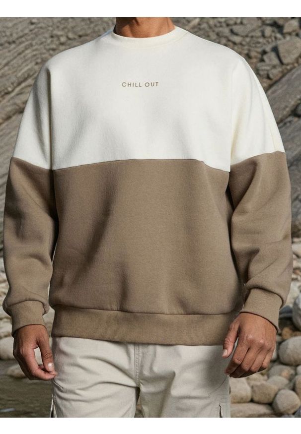 Sinsay - Bluza crewneck z bawełną - brązowy. Kolor: brązowy. Materiał: bawełna