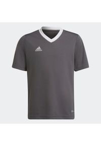 Adidas - Koszulka piłkarska dla dzieci adidas Entrada 22 Jersey. Kolor: szary. Materiał: jersey. Sport: piłka nożna