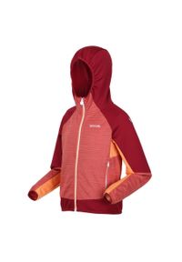 Regatta - Prenton II Regata dziecięcy turystyczny softshell z kapturem. Typ kołnierza: kaptur. Kolor: czerwony. Materiał: poliester, elastan #1