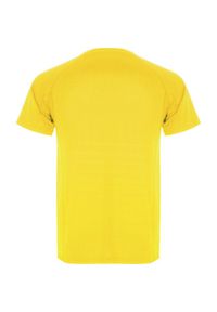 ROLY - Męska Koszulka Sportowa Montecarlo Z Krótkim Rękawem. Kolor: żółty. Długość rękawa: krótki rękaw. Długość: krótkie. Sport: turystyka piesza