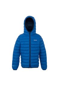 Regatta - Kurtka Ocieplana Dziecięca Z Kapturem Marizion. Typ kołnierza: kaptur. Kolor: niebieski, wielokolorowy, zielony. Materiał: puch. Styl: sportowy #1