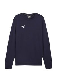 Bluza sportowa męska Puma B23616. Kolor: niebieski, wielokolorowy