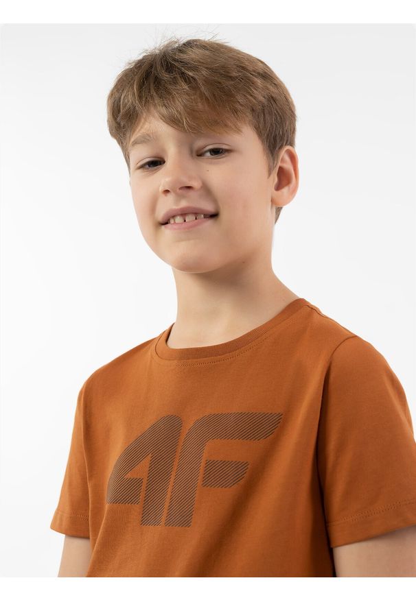 4f - 4F T-shirt z nadrukiem chłopięcy 134 (8-9 lat). Kolor: brązowy. Materiał: bawełna. Wzór: nadruk. Sezon: lato