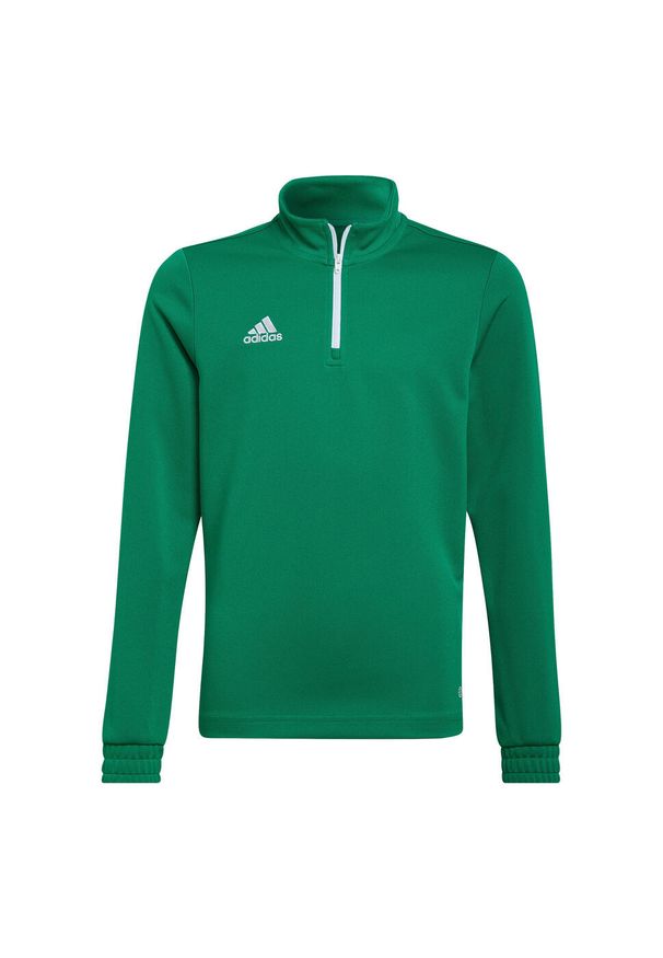 Adidas - Bluza piłkarska dla dzieci adidas Entrada 22 Training Top. Kolor: zielony. Sport: piłka nożna