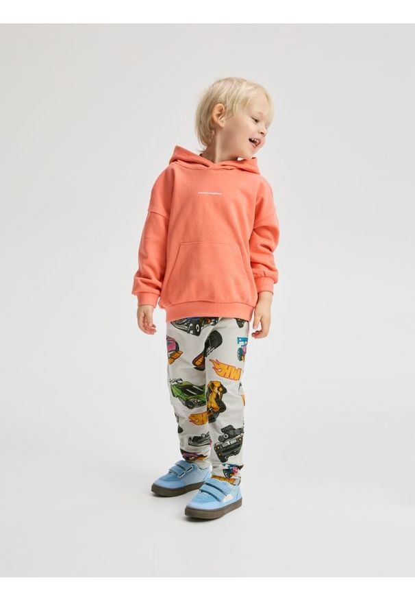 Reserved - Bawełniane legginsy Hot Wheels - jasnoszary. Kolor: szary. Materiał: bawełna