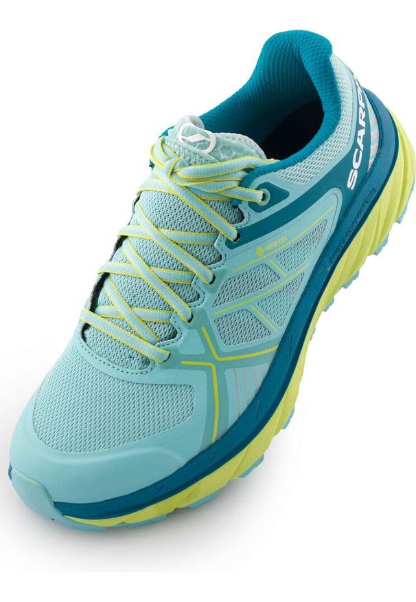 Damskie Buty do Biegania Scarpa Spin Infinity GTX 38.5. Kolor: wielokolorowy