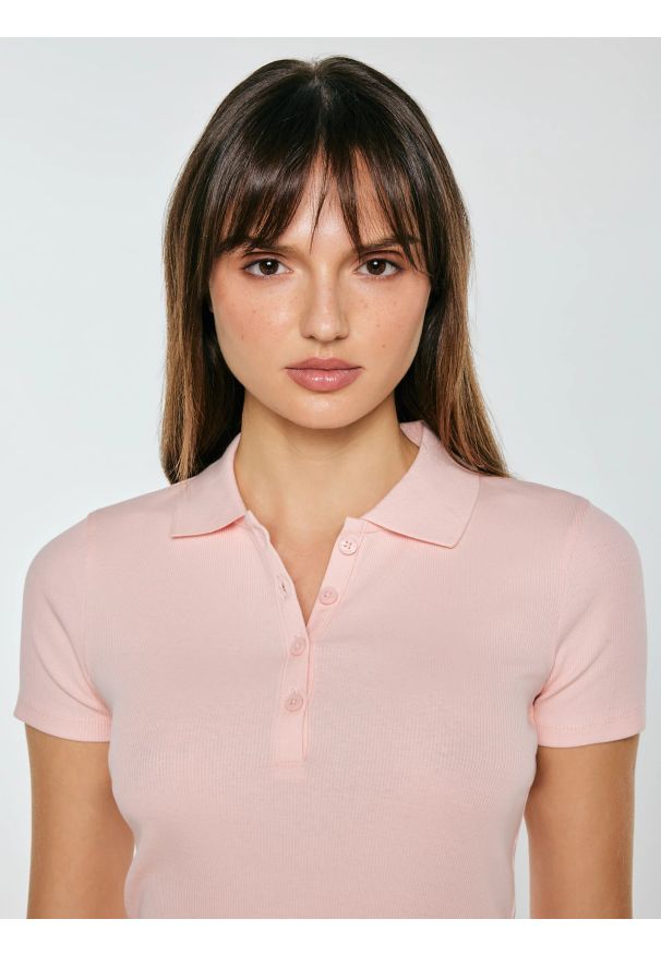 Big-Star - Koszulka damska polo slim z subtelnym haftem różowa Rafaela 601. Typ kołnierza: polo. Kolor: różowy. Materiał: materiał, prążkowany, dzianina. Wzór: haft. Sezon: lato, wiosna. Styl: sportowy