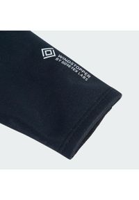 Adidas - Rękawice Terrex Xperior GORE-TEX Windstopper. Kolor: czarny. Technologia: Gore-Tex. Sport: turystyka piesza