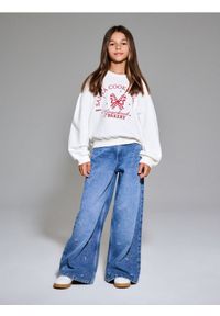 Sinsay - Jeansy wide leg - szary. Kolor: szary