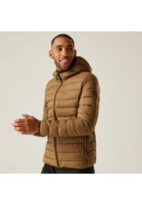 Regatta - Marizion Męska wodoodporna aktywna kurtka z kapturem z przegrodami. Typ kołnierza: kaptur. Kolor: brązowy. Materiał: puch. Sport: turystyka piesza #1