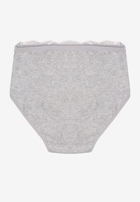 Renee - Szare Majtki Figi z Bawełny Zdobione Koronką Idivia. Kolekcja: plus size. Kolor: szary. Materiał: koronka, bawełna. Wzór: koronka, aplikacja