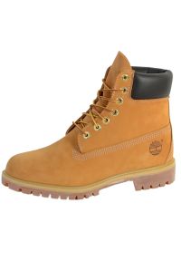 Buty do chodzenia męskie Timberland 6 IN Prem. Wysokość cholewki: za kostkę. Zapięcie: sznurówki. Kolor: wielokolorowy. Materiał: skóra, materiał. Szerokość cholewki: normalna. Sport: turystyka piesza