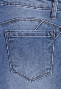 Renee - Niebieskie Jeansy Skinny z Bawełną Push-Up Erilessa. Okazja: na co dzień. Kolor: niebieski. Styl: elegancki, casual #5