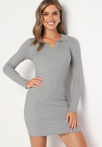 Born2be - Szara Sweterkowa Sukienka z Prążkowanego Materiału z Kołnierzykiem Merivanae. Okazja: na spotkanie biznesowe. Kolor: szary. Materiał: prążkowany, materiał. Styl: biznesowy, elegancki #3