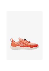 Buty dziecięce Vivobarefoot Primus Trail Knit FG Preschool. Kolor: czerwony. Sport: turystyka piesza