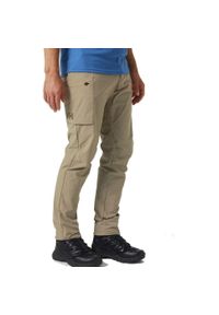 Spodnie turystyczne męskie Helly Hansen Brono Softshell Pant. Kolor: beżowy. Materiał: softshell