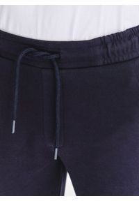 Pako Lorente - PAKO LORENTE – Granatowe spodnie dresowe. Okazja: na co dzień. Kolor: niebieski, szary. Materiał: dresówka. Wzór: gładki. Styl: casual #3