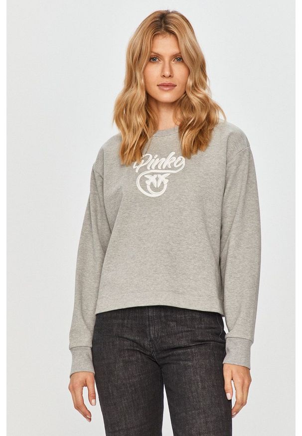 Pinko - Bluza. Kolor: szary. Wzór: aplikacja