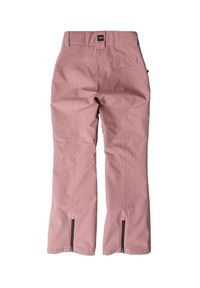 Spodnie narciarskie damskie Colourwear Cork. Kolor: różowy. Sezon: zima. Sport: narciarstwo #2