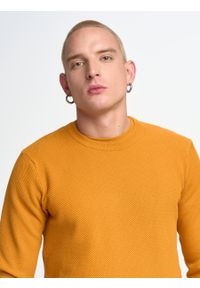 Big-Star - Sweter męski o teksturowym splocie pomaraŅczowy Reyli 703. Kolor: pomarańczowy. Materiał: bawełna. Wzór: ze splotem. Styl: klasyczny #3