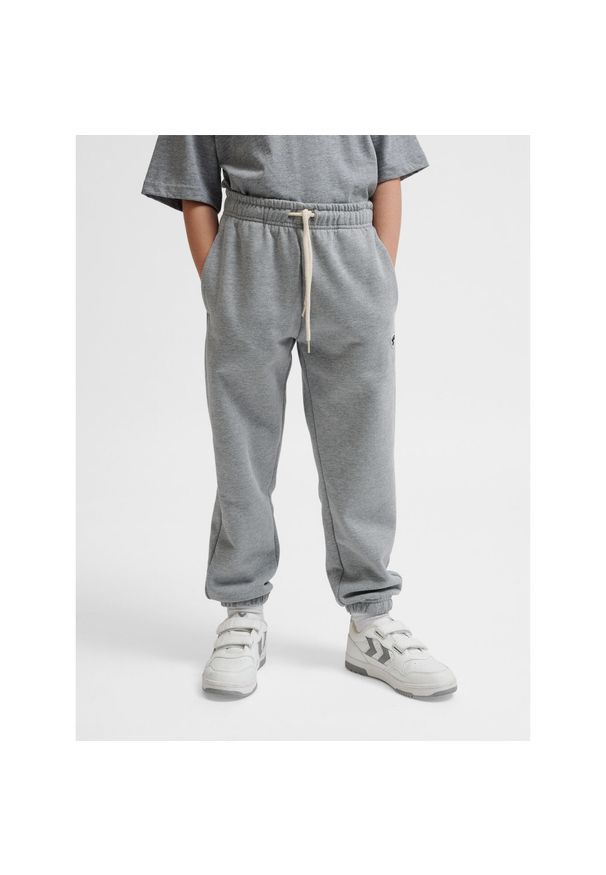 Spodnie dresowe dla dzieci Hummel Bee. Kolor: szary. Materiał: dresówka. Sport: joga i pilates