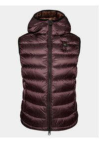 Blauer Kamizelka 23WBLUX03081 Brązowy Regular Fit. Kolor: brązowy. Materiał: syntetyk