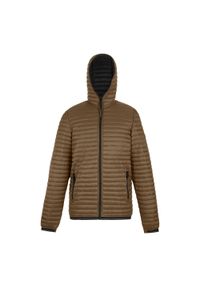 Regatta - Męska Ocieplana Kurtka Rigain. Kolor: czarny, wielokolorowy, brązowy, zielony. Materiał: puch. Sport: turystyka piesza #1