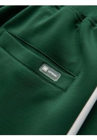 Ombre Clothing - Dresowe męskie spodnie joggery z kontrastowymi lampasami – ciemnozielone V7. Kolor: zielony. Materiał: dresówka. Wzór: aplikacja. Styl: retro, sportowy #7
