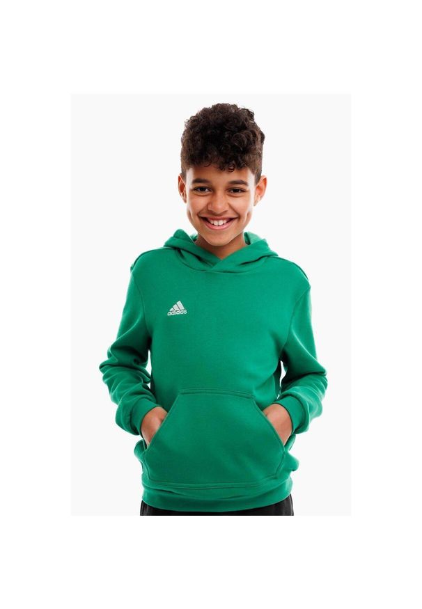 Adidas - Bluza piłkarska dla dzieci adidas Entrada 22 Hoody. Kolor: biały, zielony, wielokolorowy. Sport: piłka nożna