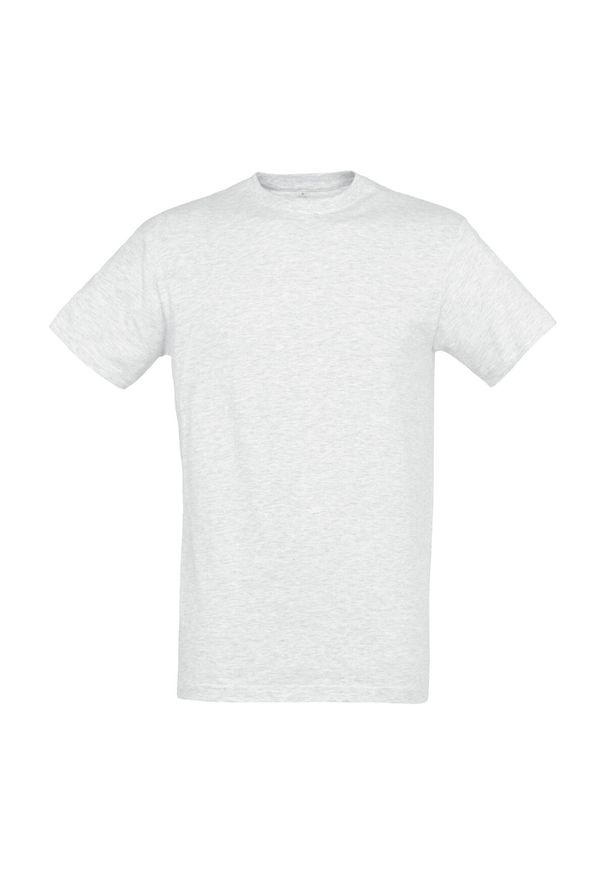 SOL'S - Koszulka Regent Dla Dorosłych Unisex. Kolor: szary. Sport: turystyka piesza