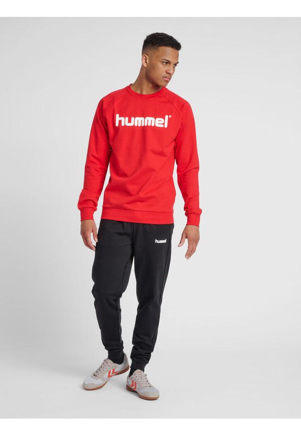Bluza do piłki ręcznej męska Hummel Cotton Logo. Kolor: czerwony, różowy, wielokolorowy. Materiał: bawełna