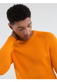 Big-Star - Sweter męski klasyczny pomaraŅczowy Olson 701. Kolor: pomarańczowy. Materiał: skóra, bawełna. Wzór: prążki, ze splotem, aplikacja. Styl: klasyczny
